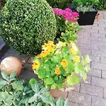 B Nolte Apartman
