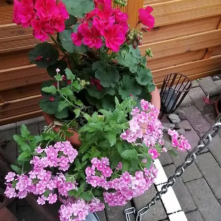 B Nolte Apartamento Einbeck