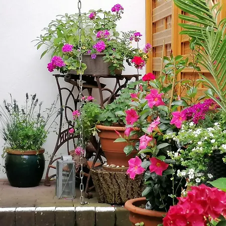 B Nolte Apartamento *