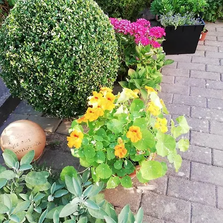 B Nolte Διαμέρισμα