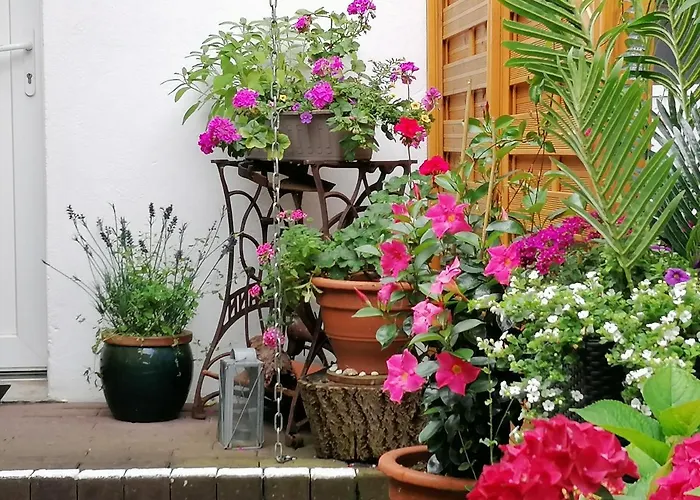 B Nolte Appartement *