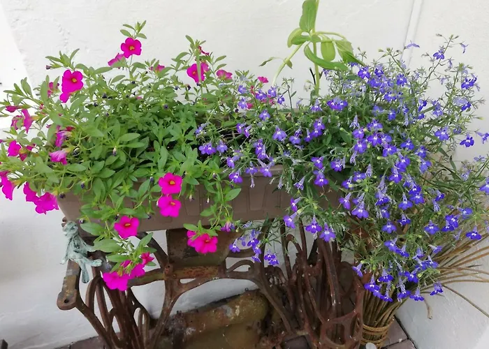 Apartment B Nolte Einbeck